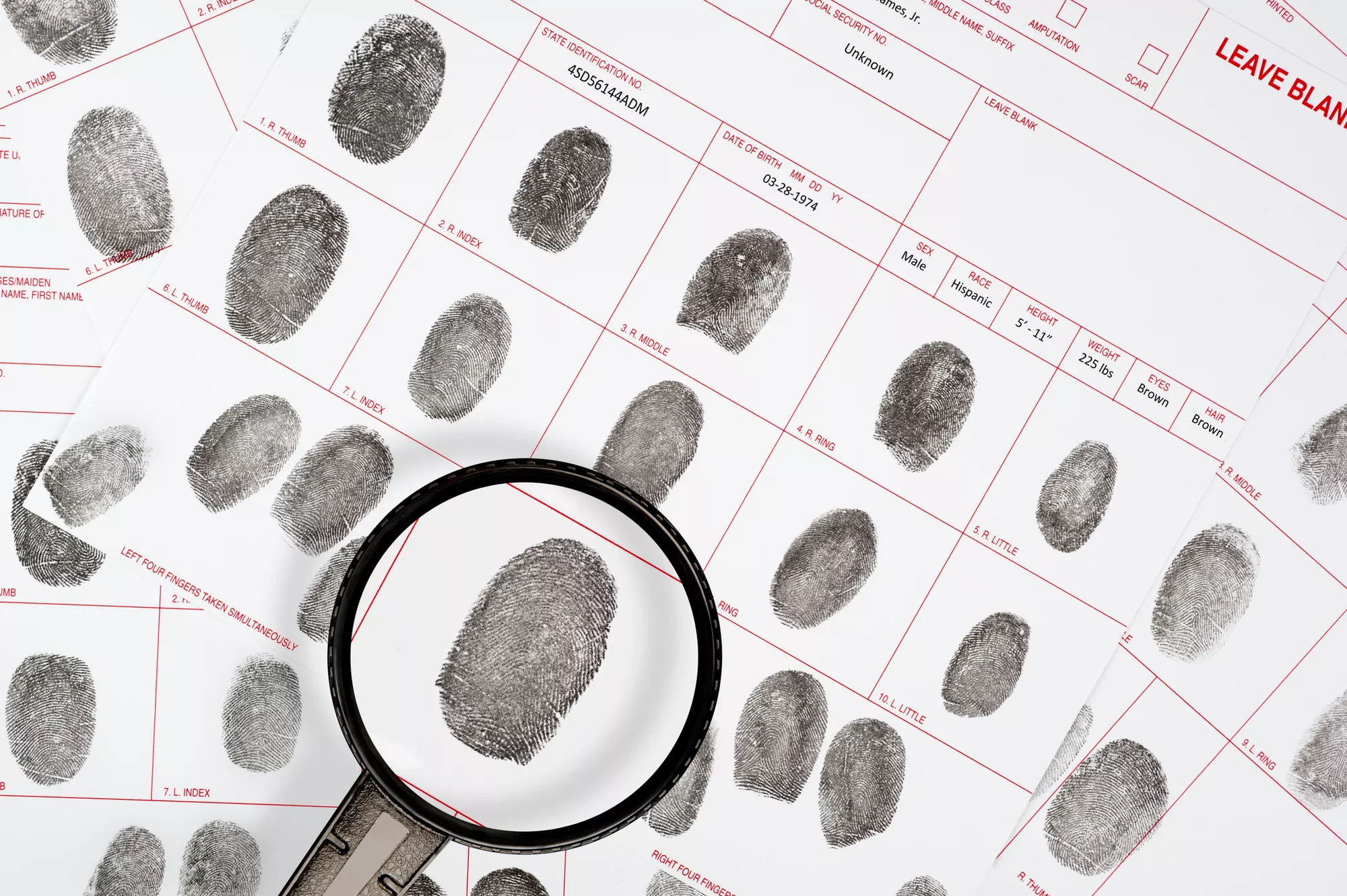 fbi background check apostille